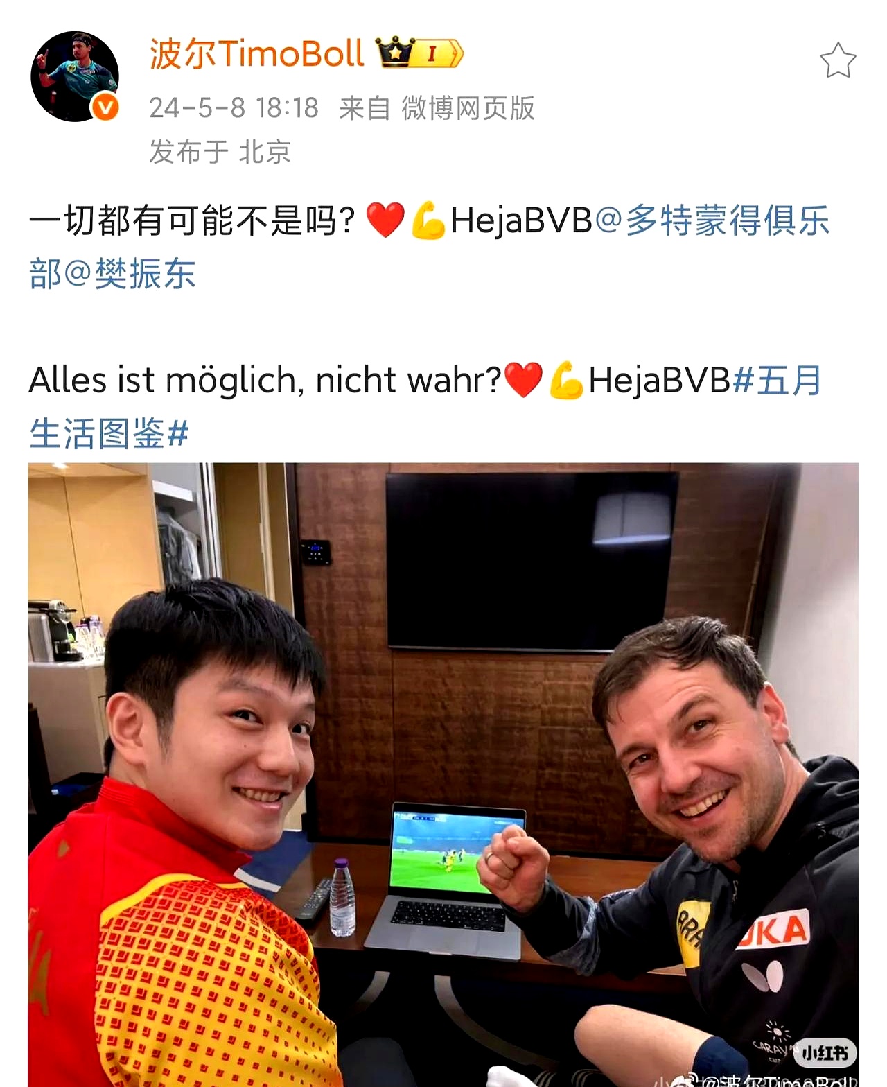 奥地利乒乓球队险胜法国乒乓球队，波尔送出助攻的简单介绍