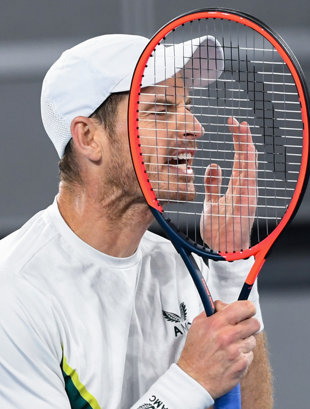 温网横扫ATP总决赛，穆雷高光表现